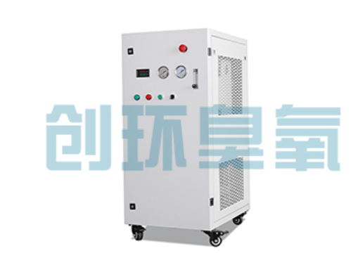 沈阳石斑鱼养殖水质调控完整指南:臭氧发生器配置与操作步骤