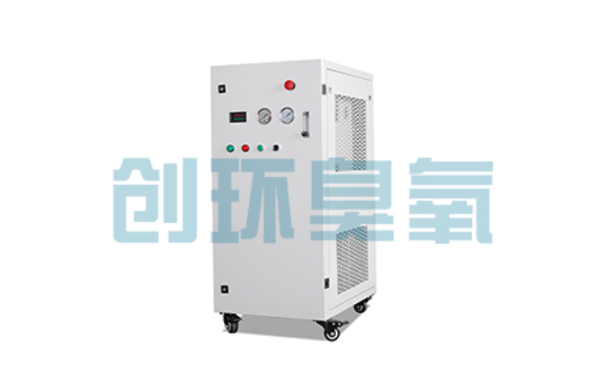 沈阳比传统换水更高效?臭氧发生器在石斑鱼养殖中的水质净化原理解析